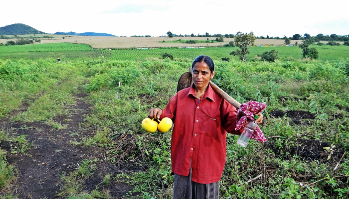 最新教你“闲逸麻将外卦神器下载安装”开挂(透视)辅助教程