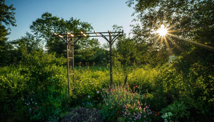 玩家辅助神器：“微乐内蒙麻将小程序必赢神器免费安装!详细分享装挂步骤