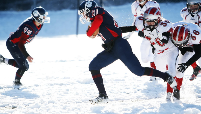 辅助神器“新玉海楼茶苑有挂吗!详细分享装挂步骤