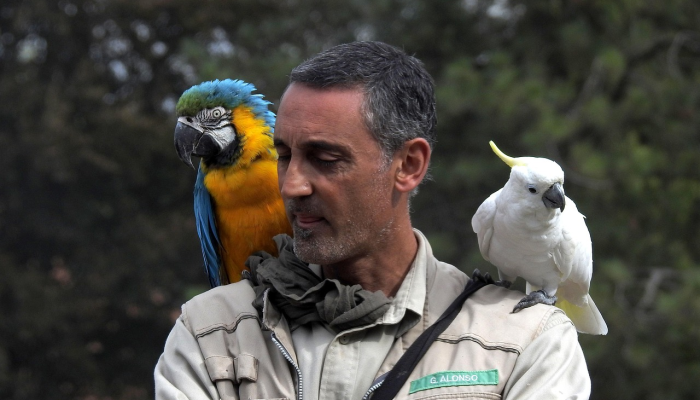 《饥饿游戏》的coser精心重现了露西·格雷的彩色歌鸟和蛇裙 《饥饿游戏》的coser精心重现了露西·格雷的彩色歌鸟和蛇裙