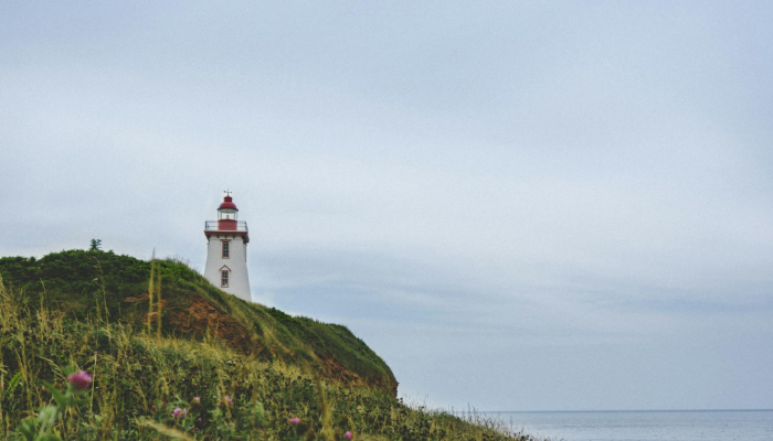 加拿大的干燥天气导致干旱