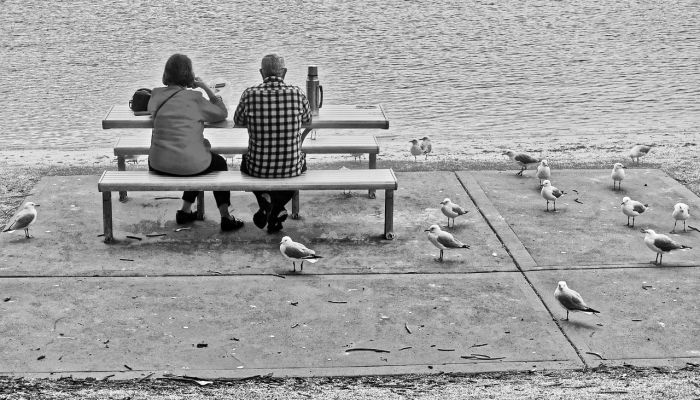 辅助神器“玄灵大厅作弊挂下载”(原来确实是有挂)