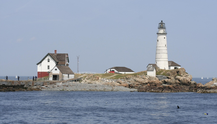 “这是我们的历史，现在它被活活烧死了”：来自毛伊岛的波士顿大学学生在曾经是她高中的避难所做志愿者