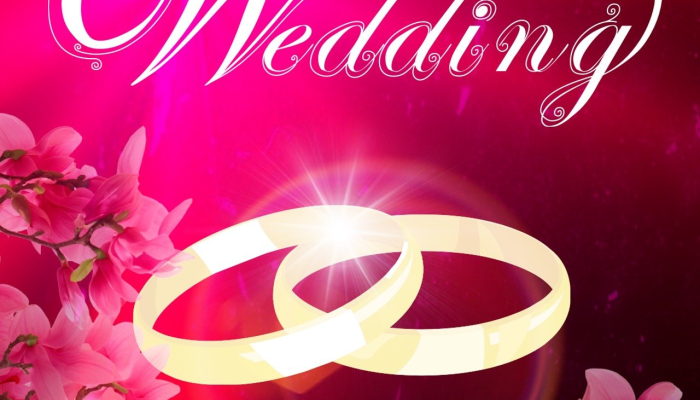 辅助神器“新九哥斗牛透视软件!分享用挂教程