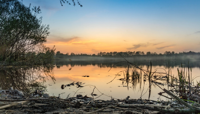在乌克兰的森林里，士兵们击退了俄罗斯的致命进攻