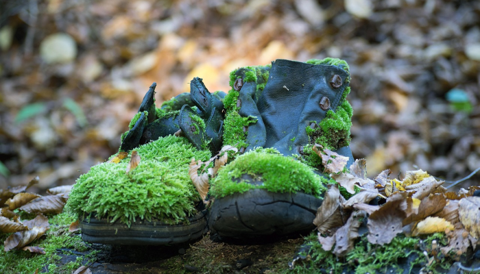 SC警察说，在树林里工作的工作人员偶然发现了遗骸它们属于一个失踪的人