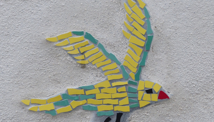 今日教程“新青鸟拼三张开挂!详细分享装挂步骤 今日教程“新青鸟拼三张开挂!详细分享装挂步骤