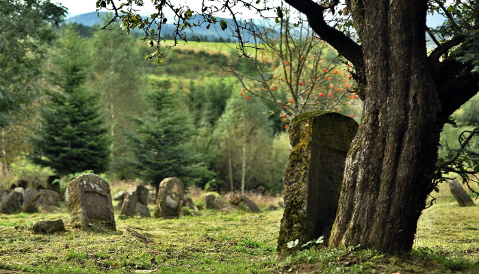 推荐一款”情怀麻将开挂必赢神器”开挂(透视)辅助教程