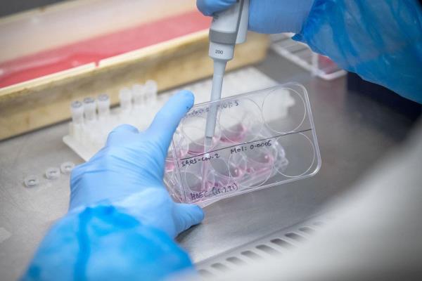 辅助神器“宜昌花牌技巧口诀!详细分享装挂步骤