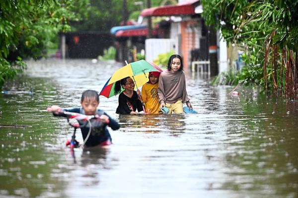 辅助神器“微乐捉老麻子有挂吗”(曝光透视必备猫腻)