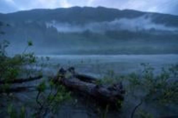 下午文摘:Uttarkashi隧道坍塌现场直播;九广铁路赖图计划“停止”|选举更新及其他头条新闻 下午文摘:Uttarkashi隧道坍塌现场直播;九广铁路赖图计划“停止”|选举更新及其他头条新闻