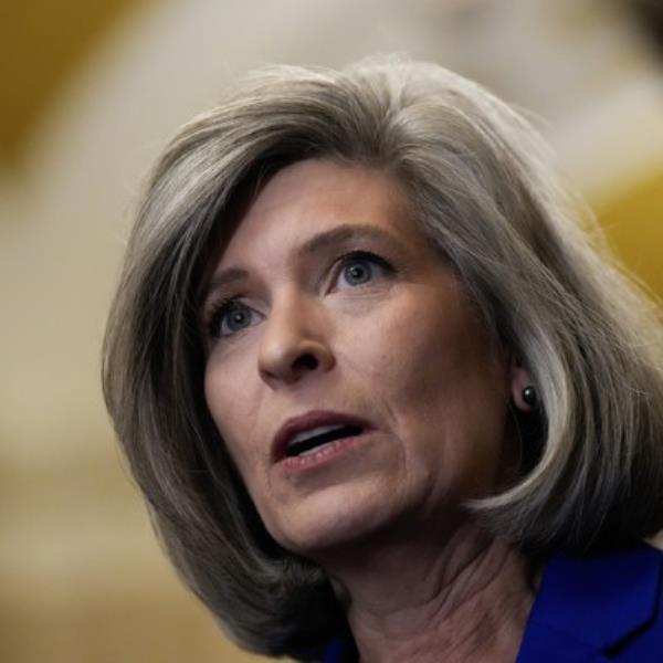 德克萨斯州一对夫妇因涉嫌出售margay和试图出售美洲虎幼崽而被捕 德克萨斯州一对夫妇因涉嫌出售margay和试图出售美洲虎幼崽而被捕