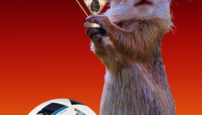 NFL明星特拉维斯·凯尔斯分享了他与泰勒·斯威夫特第一次交往的细节