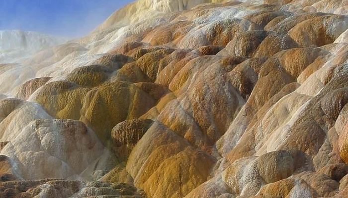 维斯·摩尔：11岁，戴着手铐现在，马里兰州第一位黑人州长：