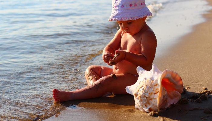 黄石国家公园里,“无知”的游客挤在灰熊妈妈和幼崽中间 黄石国家公园里,“无知”的游客挤在灰熊妈妈和幼崽中间