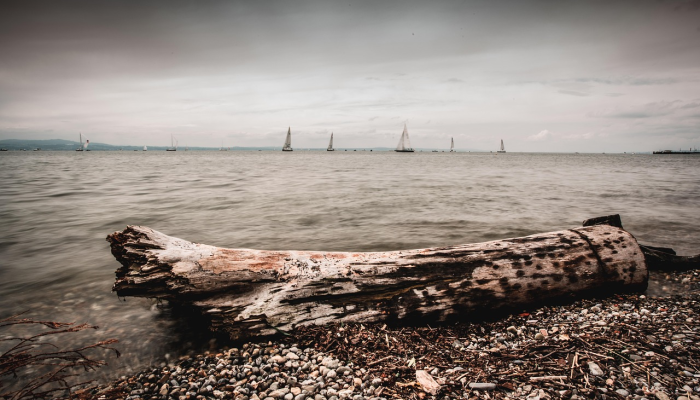 预报员警告说,爱荷华州将在预选前遭遇“危及生命”的暴风雪天气 预报员警告说,爱荷华州将在预选前遭遇“危及生命”的暴风雪天气