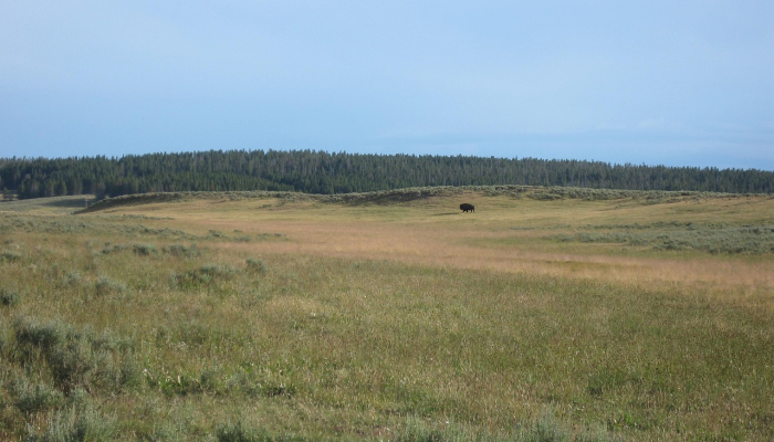 推荐一款”长乐麻将开挂神器免费下载”开挂(透视)辅助教程 推荐一款”长乐麻将开挂神器免费下载”开挂(透视)辅助教程