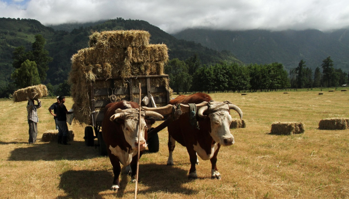 苏纳克警告说,如果骨质疏松危机得不到解决,削减NHS候诊名单是“不可能的” 苏纳克警告说,如果骨质疏松危机得不到解决,削减NHS候诊名单是“不可能的”