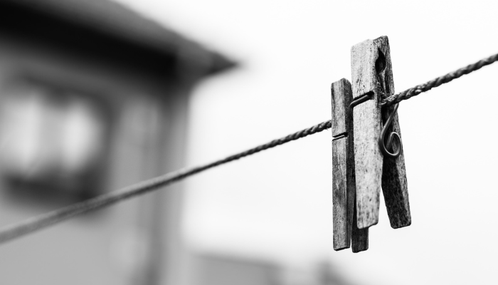 新闻晚报文摘：莫汉·亚达夫将成为国会首席部长和其他头条新闻