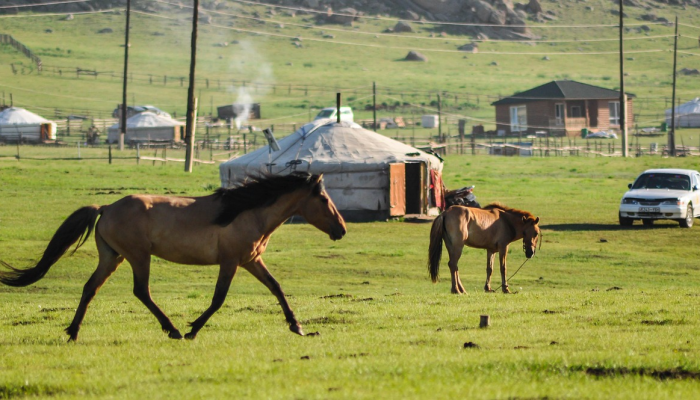 教程辅助!“蛮王大厅透视挂方法”其实确实有挂