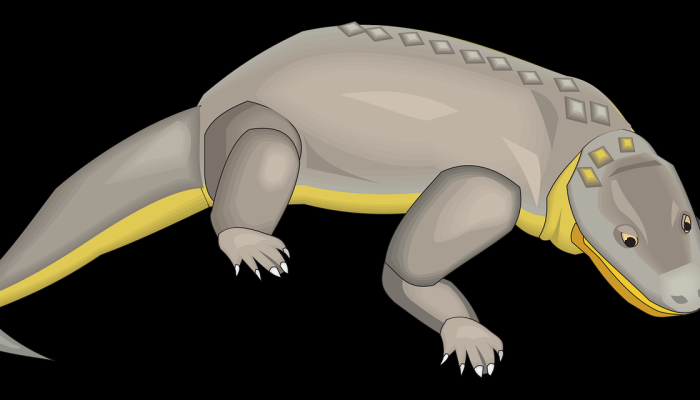 闻起来像黄油爆米花的“熊宝宝”刚刚在亚特兰大动物园出生见到他们