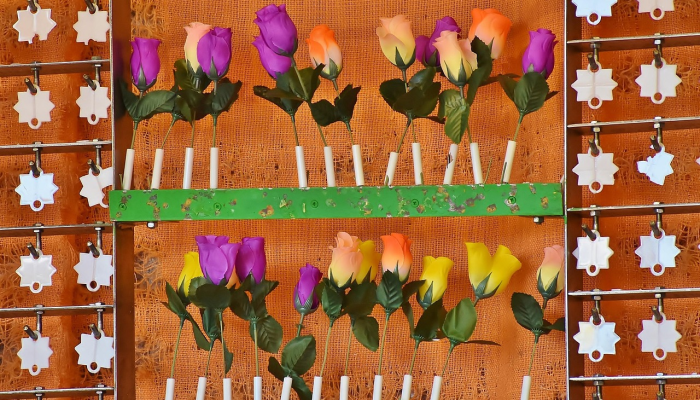 希腊议员退出激进左翼联盟党以抗议新领导人 希腊议员退出激进左翼联盟党以抗议新领导人