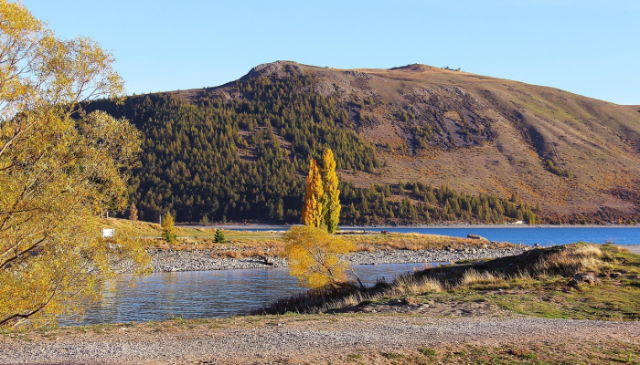 多马斯科本田推出全新1.5升VTEC涡轮增压CR-V