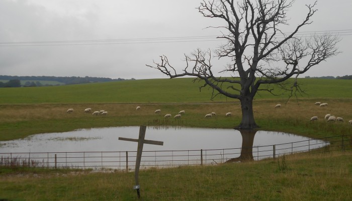 教程辅助!“新海贝之城有挂吗”其实确实有挂