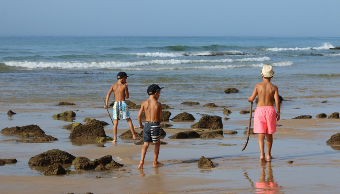 西汉姆11对谢菲尔德联队:确认了球队的消息,预测了英超联赛的最新阵容和伤病 西汉姆11对谢菲尔德联队:确认了球队的消息,预测了英超联赛的最新阵容和伤病