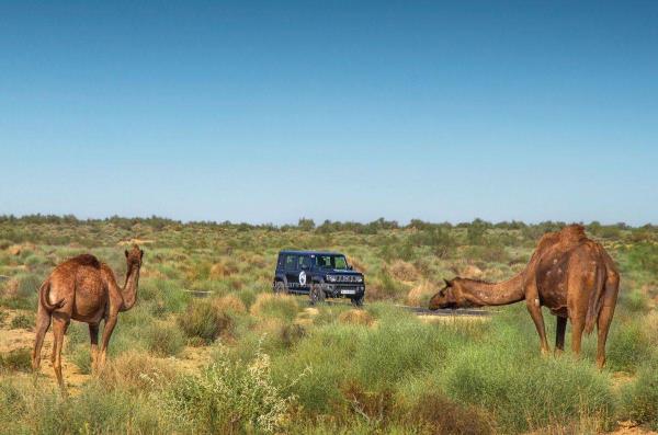 F-Zero 99曝光，范主的希望再次破灭