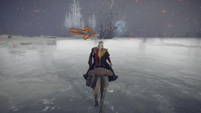 Player showing location of the Teardrop Scarab Elden Ring
