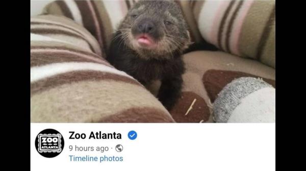 赛琳娜·戈麦斯和她的祖父母“总是在厨房里”