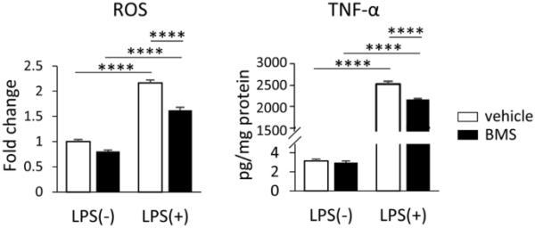 万能开挂辅助“中至二人麻将怎么开挂”(曝光透视必备猫腻) 万能开挂辅助“中至二人麻将怎么开挂”(曝光透视必备猫腻)