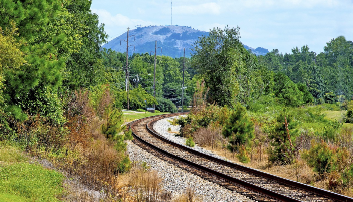 诺瓦克·德约科维奇击败丹尼尔·梅德韦杰夫,赢得美国网球公开赛,这是他的第24个大满贯冠军 诺瓦克·德约科维奇击败丹尼尔·梅德韦杰夫,赢得美国网球公开赛,这是他的第24个大满贯冠军