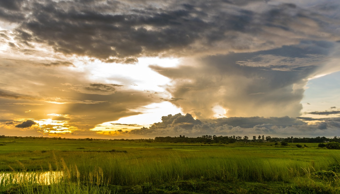 推荐一款”情怀麻将开挂必赢神器”详细开挂玩法