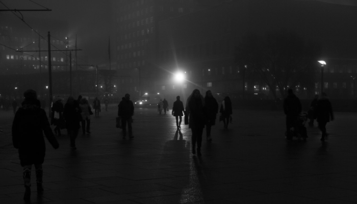 金属乐队演唱会上被遗弃的狗居然跑出来看乐队看她的表演