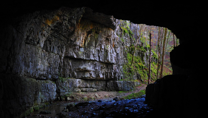 万能开挂辅助“椰子乐动开挂”分享用挂教程 万能开挂辅助“椰子乐动开挂”分享用挂教程