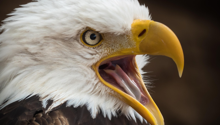 因以色列-伊朗紧张局势升级，首尔股市下跌逾1.5%;韩元大幅下跌