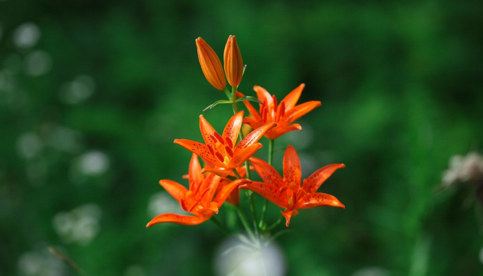 “委内瑞拉永远不会成功”:圭亚那副总统巴拉特·贾格迪奥在联合国安理会讨论埃塞奎博时表示 “委内瑞拉永远不会成功”:圭亚那副总统巴拉特·贾格迪奥在联合国安理会讨论埃塞奎博时表示