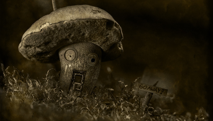 推荐一款”微乐捉鸡麻将小程序开挂神器下载安装”其实确实有挂 推荐一款”微乐捉鸡麻将小程序开挂神器下载安装”其实确实有挂