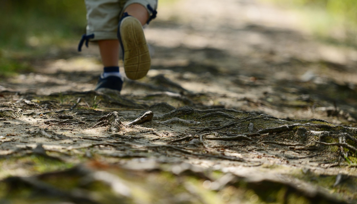 实测辅助“牵手跑得快能不能开挂!详细分享装挂步骤 实测辅助“牵手跑得快能不能开挂!详细分享装挂步骤