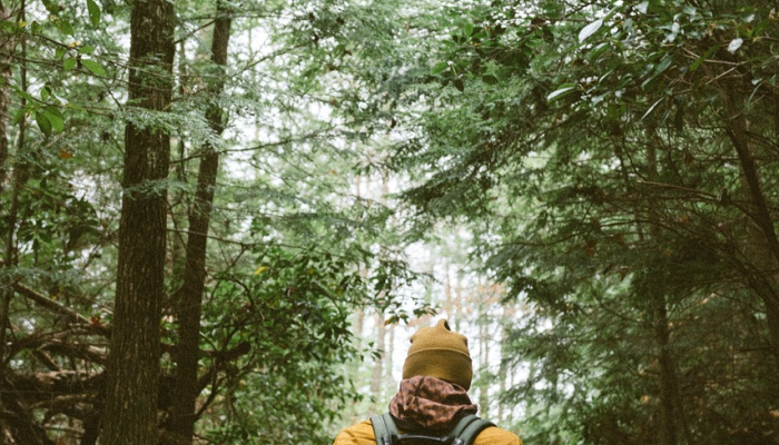 来看看坎布里亚郡的汤姆队长吧——尽管脊椎中枪，他还是徒步穿越了整个英国