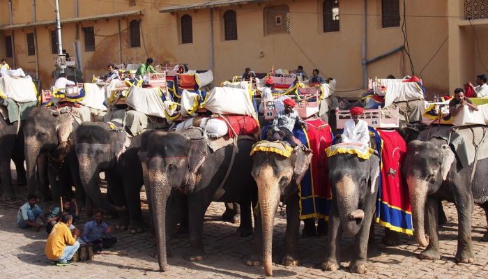 可用版本“雀神麻将小程序免费开挂器!分享用挂教程 可用版本“雀神麻将小程序免费开挂器!分享用挂教程