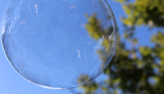 从根本上改变了以前的想法——两种蜜蜂合二为一了 从根本上改变了以前的想法——两种蜜蜂合二为一了