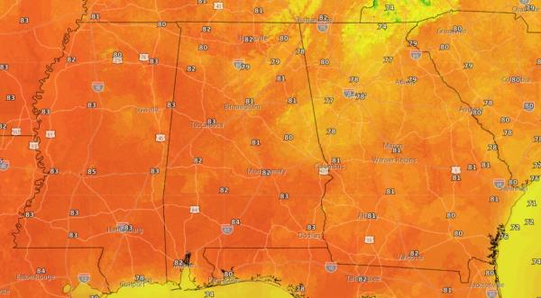 创作者吹响了“Tsubasa队长”足球漫画的终场哨子 创作者吹响了“Tsubasa队长”足球漫画的终场哨子