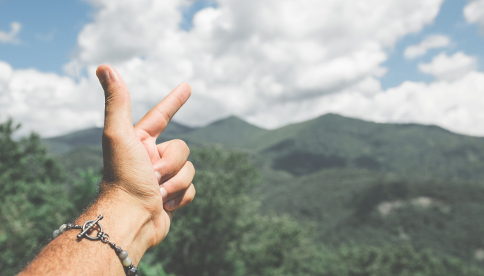 印度新喜剧达到全球票房里程碑，SRK迎来了盛大的宝莱坞年(及回归)