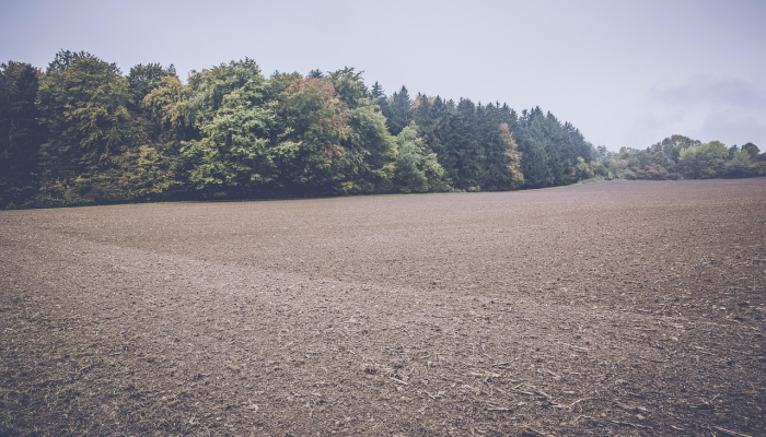 水手队击败喷气机队赢得ALM卫冕冠军的第一场胜利