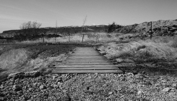 最新教你“微壳跑胡子神器下载”详细开挂玩法 最新教你“微壳跑胡子神器下载”详细开挂玩法