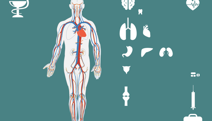 在观看《黑豹：永远的瓦坎达》之前，与家人谈谈悲伤