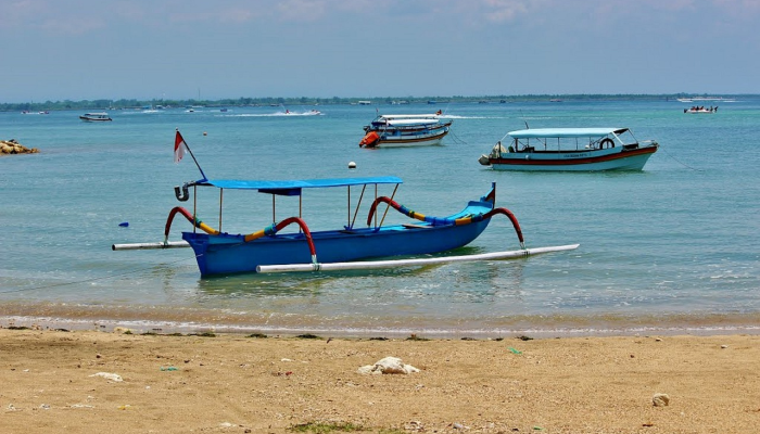 50多头领航鲸在苏格兰海滩搁浅后死亡